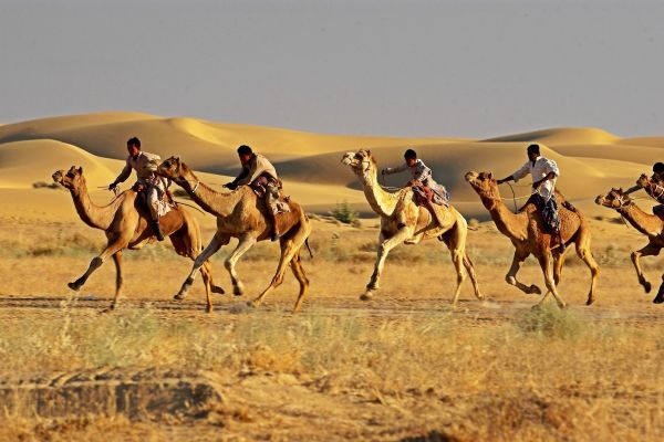 Jaisalmer-DesertFestival-CamelRace.jpg
